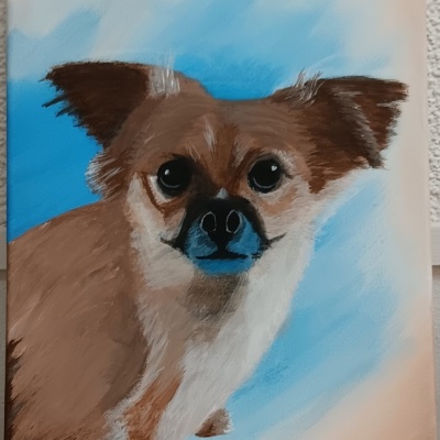 Het hondje Teddy
